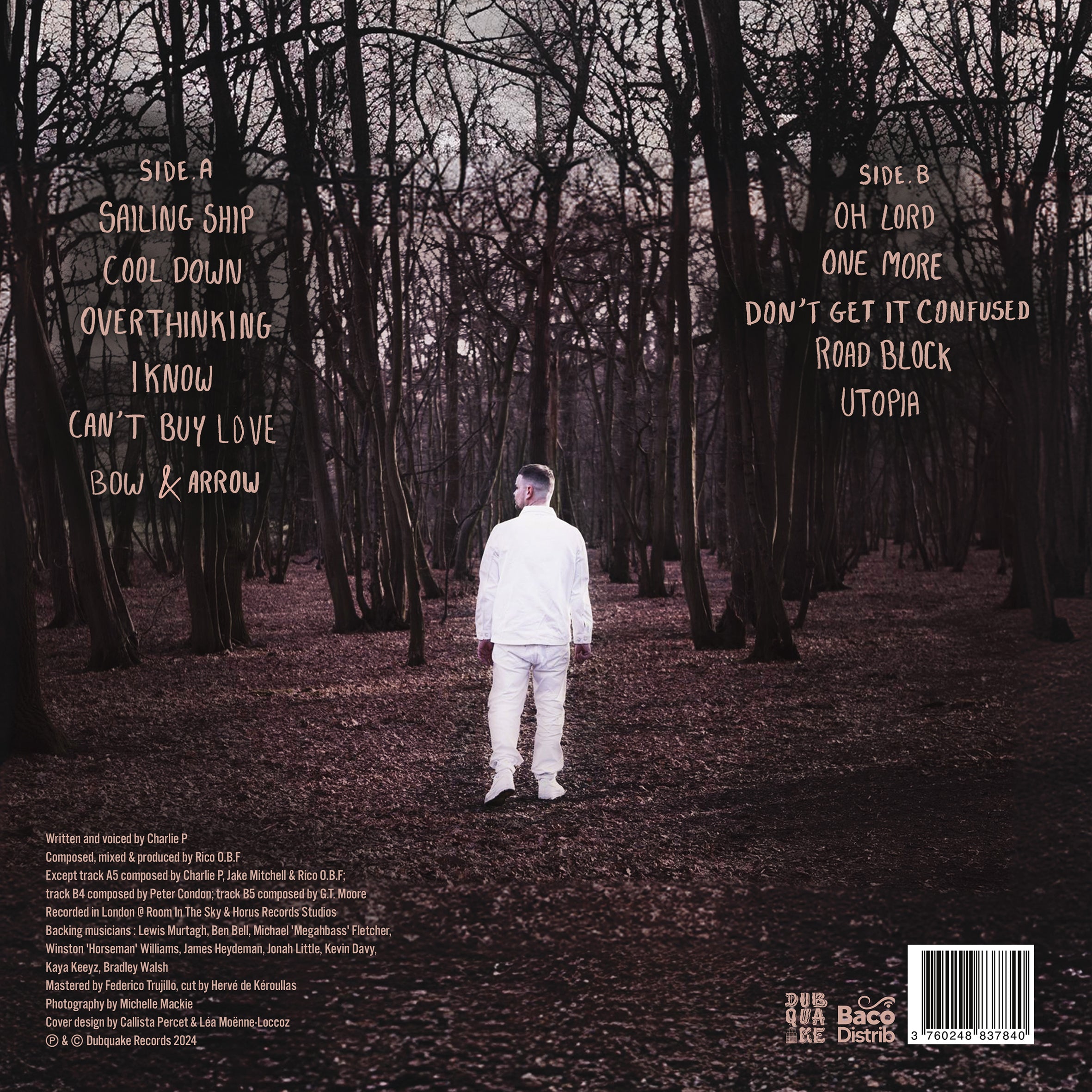仏LP Charlie P Roots DBQKLP15 Dubquake /00210 Roots | Charlie P | OBF - DUBQUAKE RECORDS